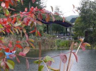 The Sculpture Park at Waitakaruru